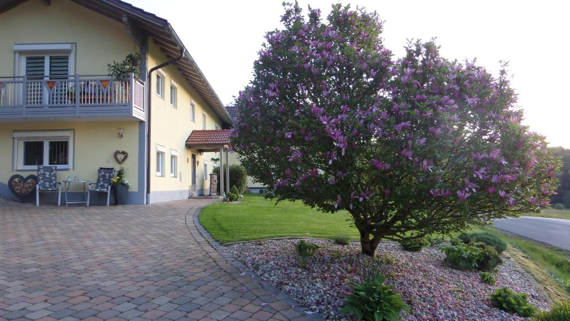 Fw & Fh Luesselfeld Apartment ซวีเซิล ภายนอก รูปภาพ